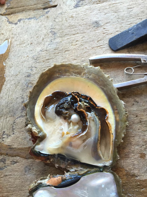 Cygnet Bay Restaurant - Adwords Guide 9