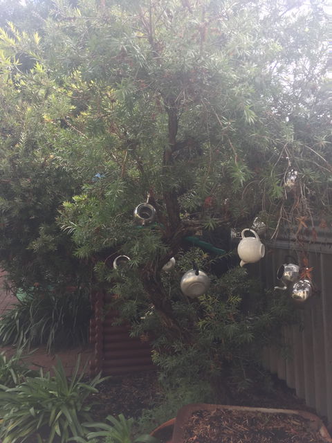 Dwellingup Blue Wren Cafe - Adwords Guide 5