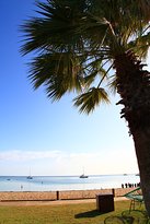 Monkey Bar - Adwords Guide 2