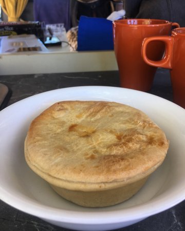 Shark Bay Bakery And Cafe - Adwords Guide 0