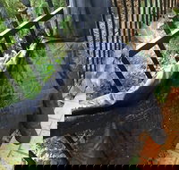 Cafe Settebello - Adwords Guide