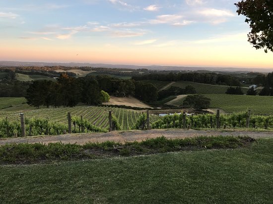 Lenswood SA Adwords Guide