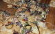 Russellâ€™s Pizza - thumb 3