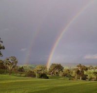 Tenafeate Creek Winery - Adwords Guide