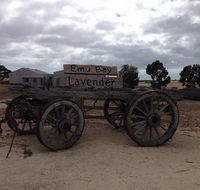 Emu Bay Lavender - Adwords Guide