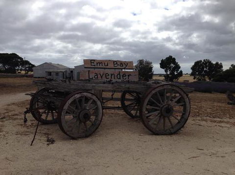 Emu Bay Lavender - Adwords Guide 0