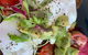 Normanville Kiosk & Cafe - thumb 3