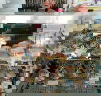 Marr's Bakery - Adwords Guide