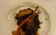 Tartufo Classic Italian - thumb 1