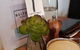 House Of Hubert - thumb 1