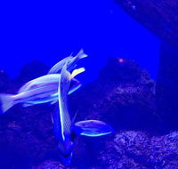 AquaLuna - Adwords Guide