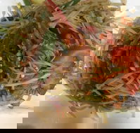 Imm Thai Cafe - Adwords Guide