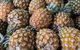 Rusty's Market - thumb 6