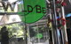 Wild Bean Cafe - thumb 4
