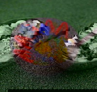 WIA Cafe - Adwords Guide