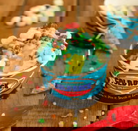 Cold Rock Ice Creamery - Adwords Guide