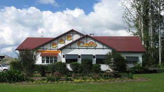 Business in Millaa Millaa QLD Adwords Guide Adwords Guide