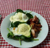 The Shed Cafe - Adwords Guide