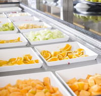 Tursiops Buffet - Adwords Guide