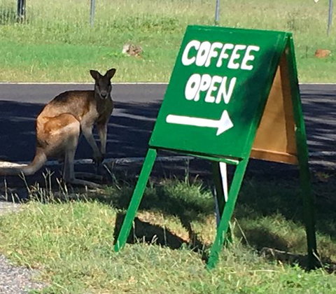 Chillagoe Gallery 29 - Adwords Guide 0