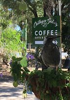 Chillagoe Gallery 29 - Adwords Guide 1