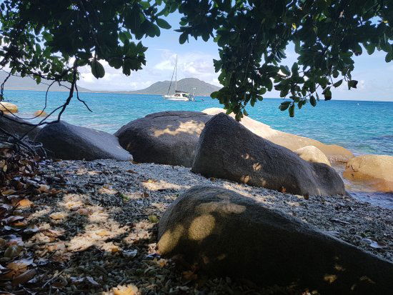 Fitzroy Island QLD Adwords Guide