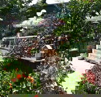 Old Man Drew - Adwords Guide