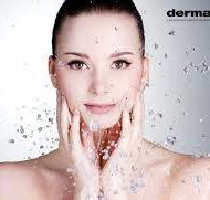 Palmerston Day Spa - Adwords Guide