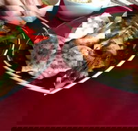 GalanGal - Adwords Guide