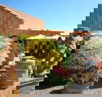 Stumpy Gully - Adwords Guide