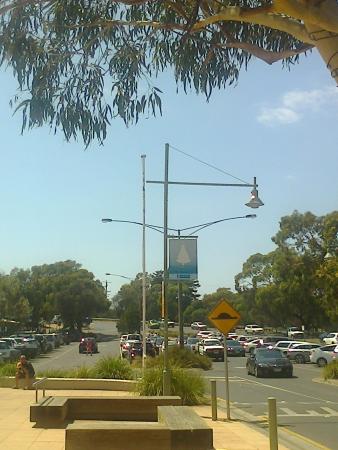 Anglesea Fish Shop - Adwords Guide 0