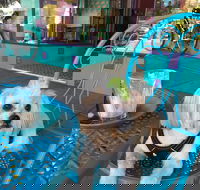 Amber Sweet Bliss - Adwords Guide