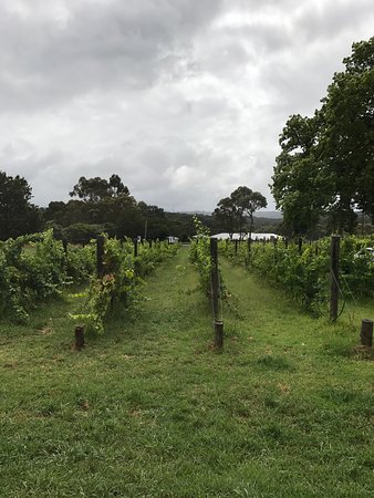 Upper Beaconsfield VIC Adwords Guide