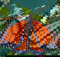 Skydancers Garden Gift Cafe - Adwords Guide