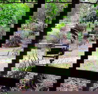 The Wander Inn - Adwords Guide