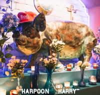 Hotel Harry - Adwords Guide