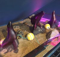 Maroubra Seals - Adwords Guide