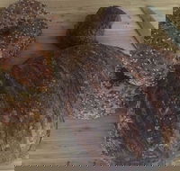 Iggy's Bread - Adwords Guide