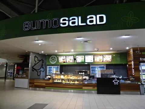Sumo Salad - Adwords Guide 0