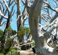 Alpine Eyre - Adwords Guide