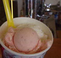 Bermagui Gelati Clinic - Adwords Guide