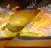 Finn  Co Cafe - Adwords Guide