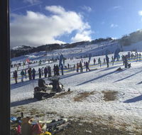 Snow Gums - Adwords Guide