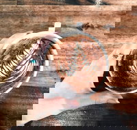 The Anchor Coffee House - Adwords Guide