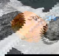 Country Kitchen Gourmet Pies - Adwords Guide