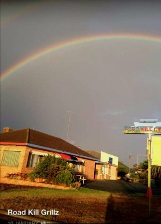 Road Kill Grillz - Adwords Guide 0