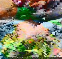 Salad Bar - Surry Hills - Adwords Guide