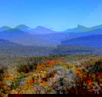 Arcadia Wines - Adwords Guide