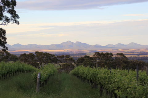 Castle Rock Estate Winery - Adwords Guide 0