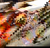 Cafe at the Hyatt Regency Perth - Adwords Guide